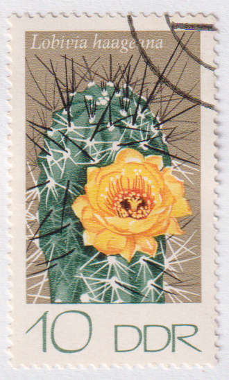 Stamp Thematic Flowers ULM DDR
