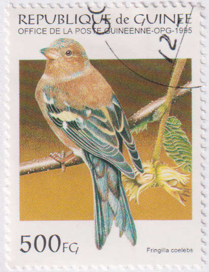 Stamp Thematic Birds ULM Guinea