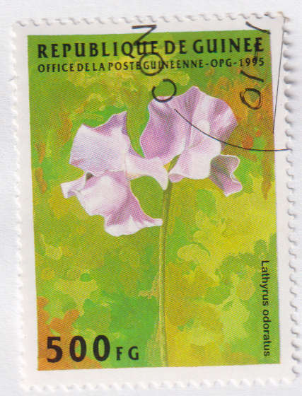 Stamp Thematic Flowers ULM Guinea