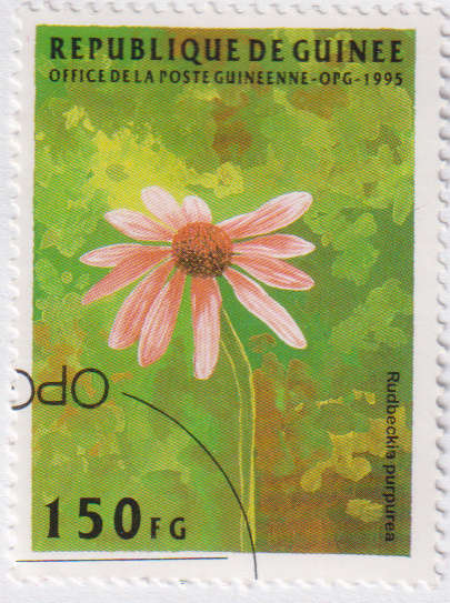 Stamp Thematic Flowers ULM Guinea
