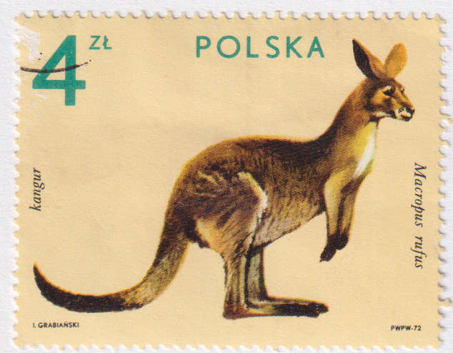 Stamp Thematic Animals ULM Poland