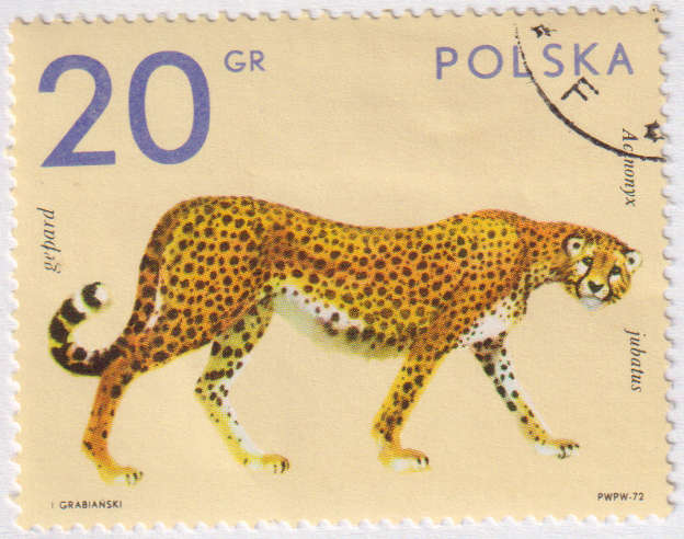 Stamp Thematic Animals ULM Poland