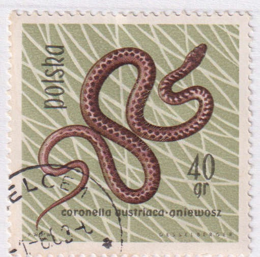 Stamps  1963 Protected Reptiles and Amphibians