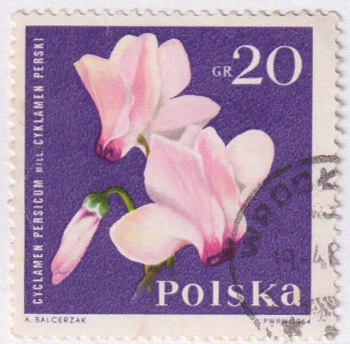 Stamp Thematic Flowers ULM Poland