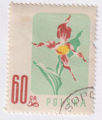 Stamp Thematic Flowers ULM Poland