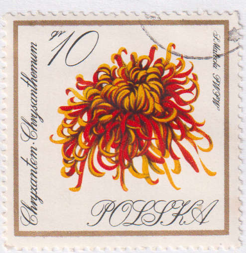 Stamp Thematic Flowers ULM Poland