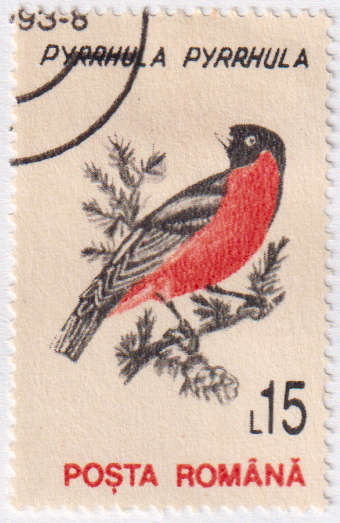 Stamp Thematic Birds ULM Romania