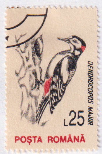 Stamp Thematic Birds ULM Romania