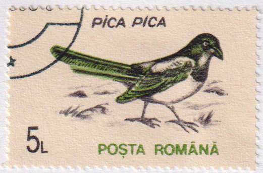 Stamp Thematic Birds ULM Romania