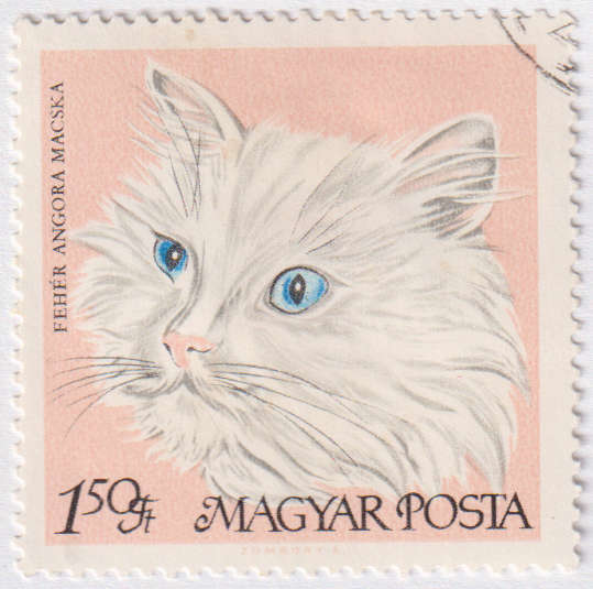 Stamp Thematic Cats ULM Hungary