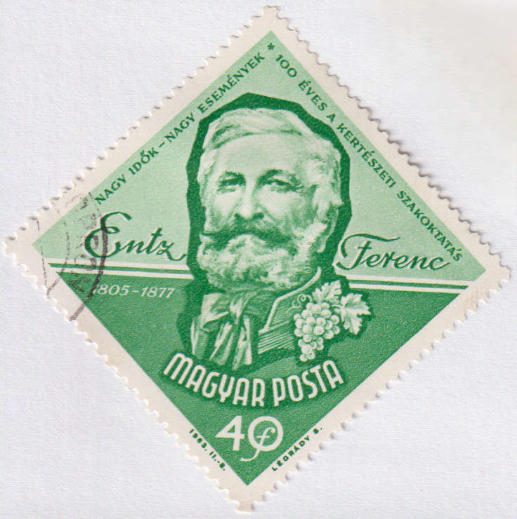 Stamps 1963 The 100th Anniversary of the College for Horticulture Hungary