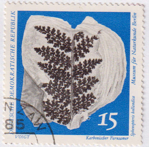 Stamps 1973 Natural History Museum Pieces DDR