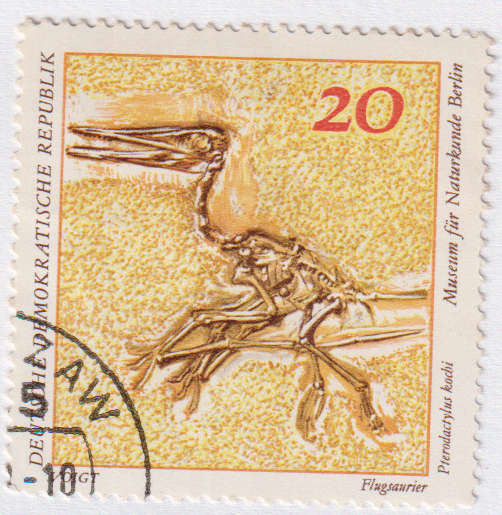 Stamps 1973 Natural History Museum Pieces DDR
