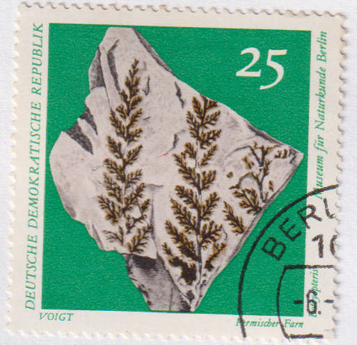 Stamps 1973 Natural History Museum Pieces DDR