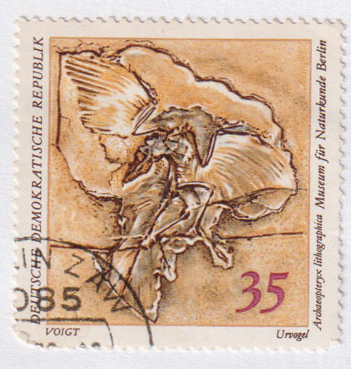 Stamps 1973 Natural History Museum Pieces DDR