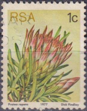 Stamps RSA 1977 Flora - Protea Plants