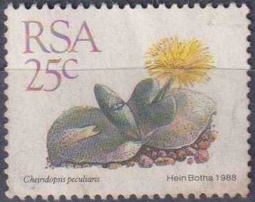 Stamps RSA 1988 Succulents
