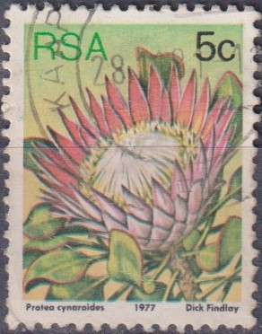 Stamps RSA 1977 Flora - Protea Plants