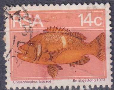 Stamps RSA 1974 Flora and Fauna