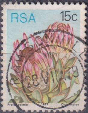 Stamps RSA 1977 Flora - Protea Plants