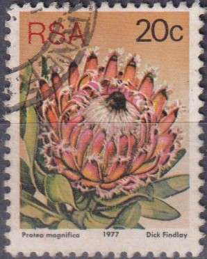 Stamps RSA 1977 Flora - Protea Plants