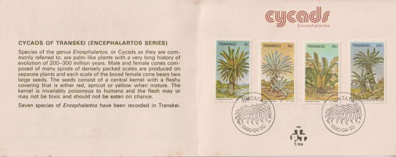 Stamp Cards Transkei 1980 Palm Ferns