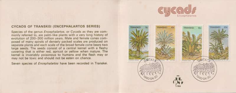 Stamp Cards Transkei 1980 Palm Ferns