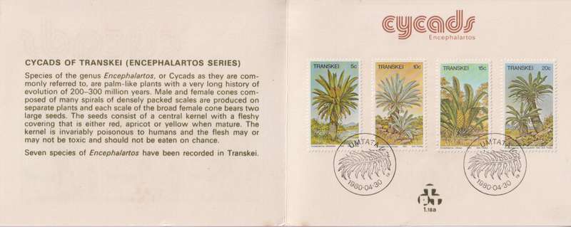 Stamp Cards Transkei 1980 Palm Ferns