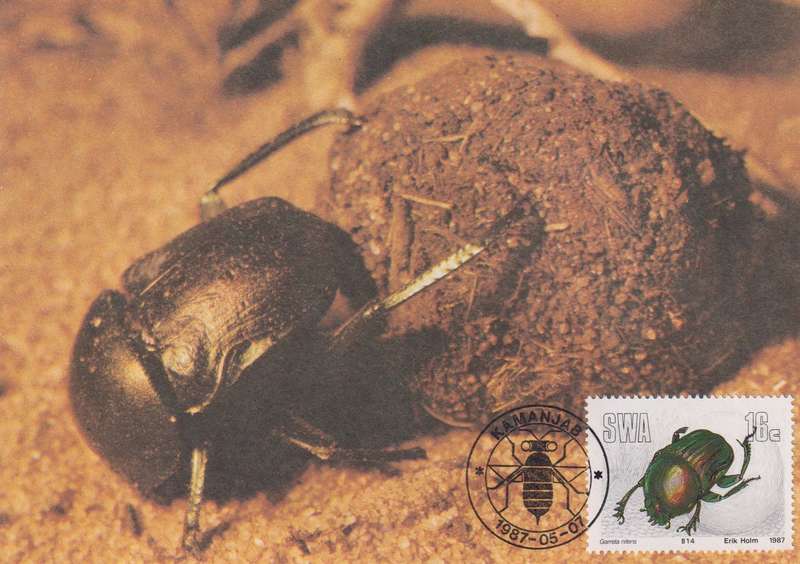 Post Cards / Maxi Card Not used