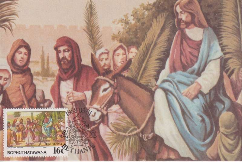 Post Cards / Maxi Card Not used