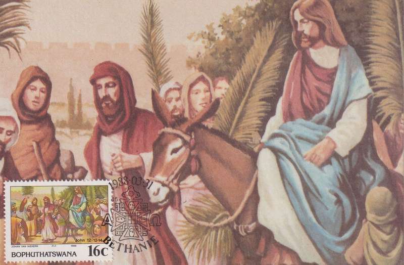 Post Cards / Maxi Card Not used