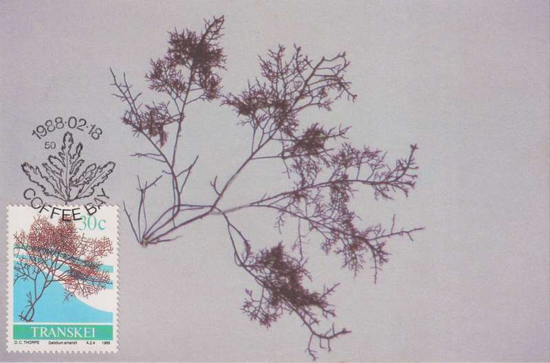 Post Cards / Maxi Card Not used