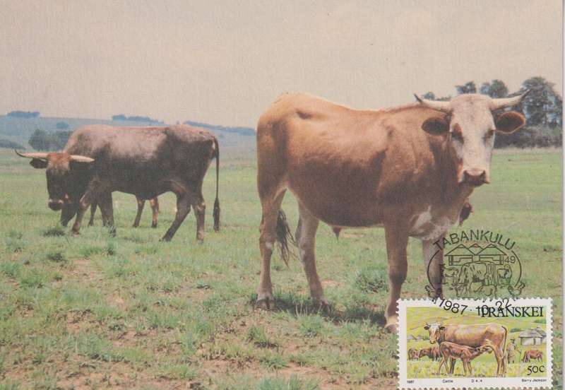 Post Cards / Maxi Card Not used