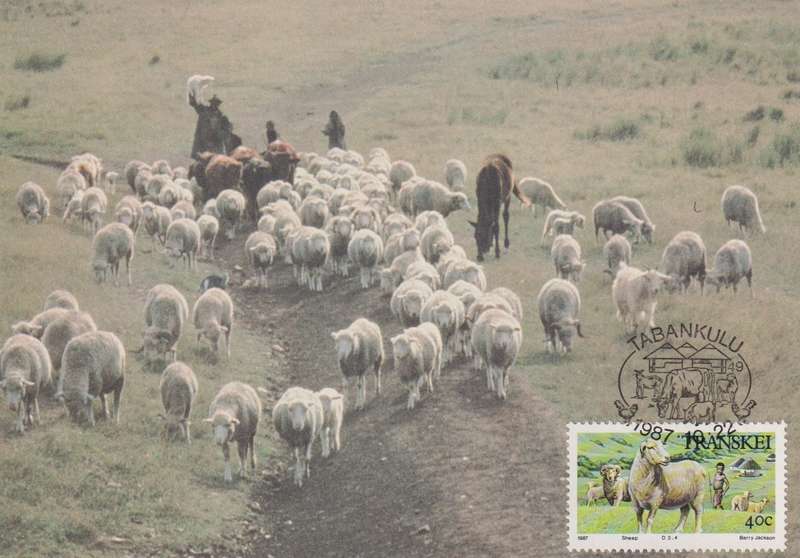 Post Cards / Maxi Card Not used