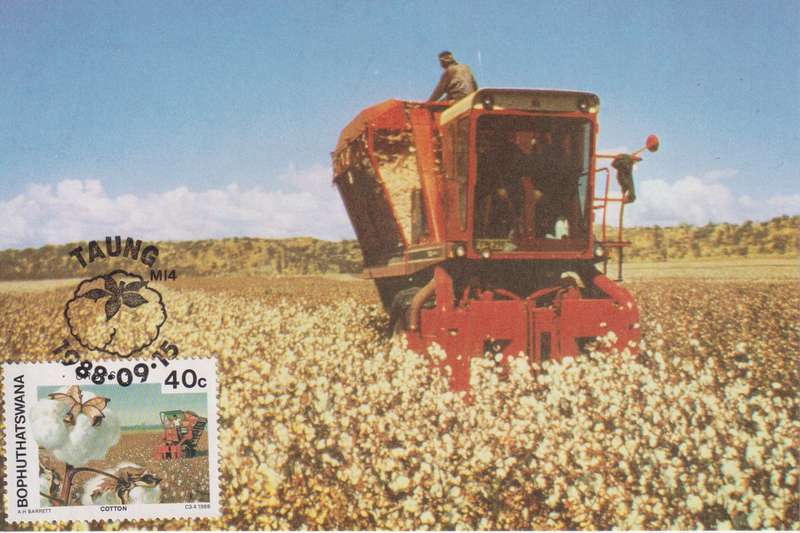 Post Cards / Maxi Card Not used
