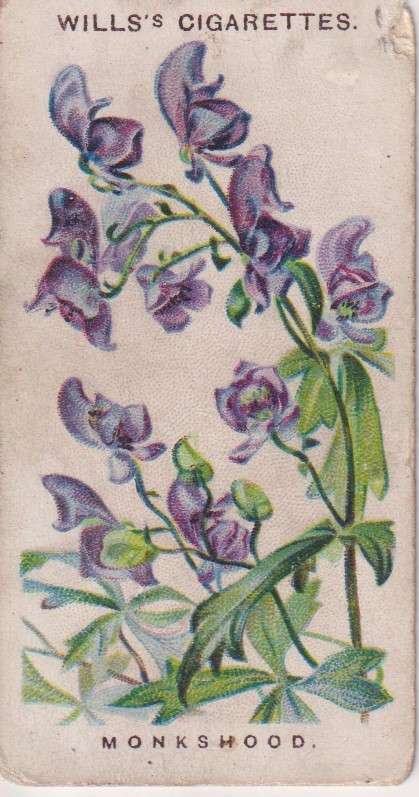 Cigarette Card Old English Garden Flower No. 18
