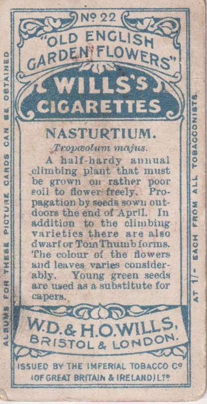 Cigarette Card Old English Garden Flower No. 22