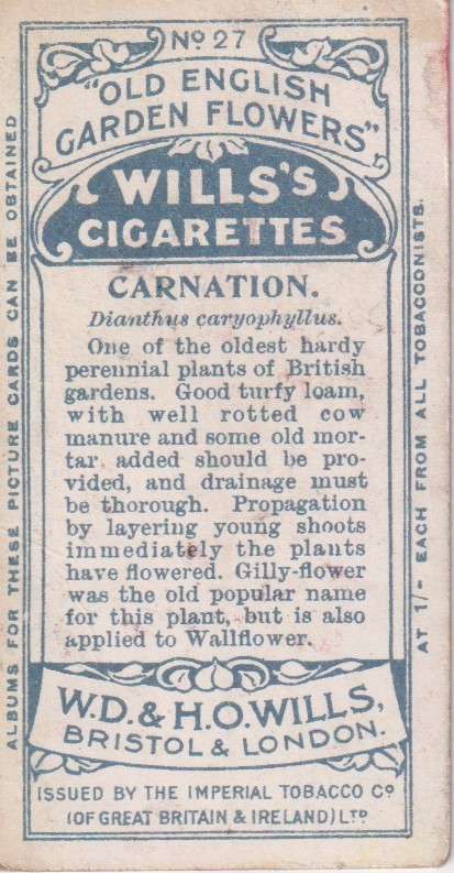 Cigarette Card Old English Garden Flower No. 27