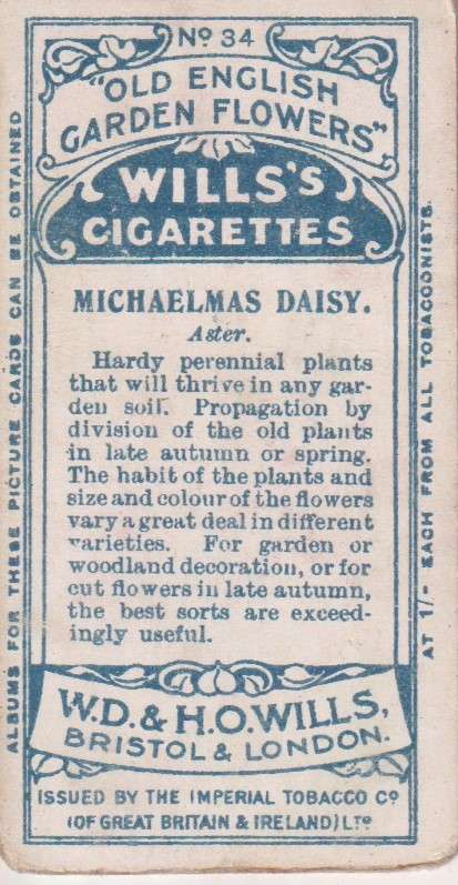 Cigarette Card Old English Garden Flower No. 34