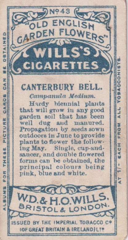 Cigarette Card Old English Garden Flower No. 43