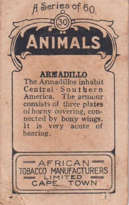 Cigarette Card  Africa Tabaco manufactures Limited Cape Town Animal  30