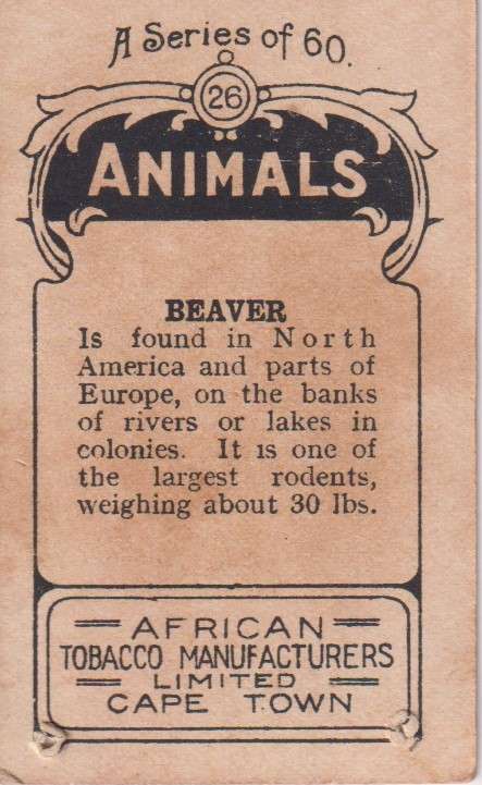 Cigarette Card  Africa Tabaco manufactures Limited Cape Town Animal  26