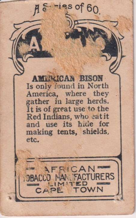 Cigarette Card  Africa Tabaco manufactures Limited Cape Town Animal 20