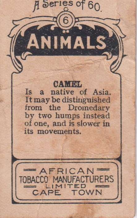 Cigarette Card  Africa Tabaco manufactures Limited Cape Town Animal 6