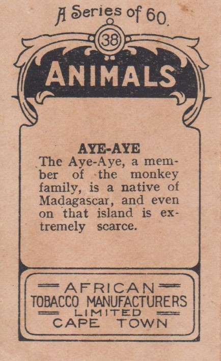 Cigarette Card  Africa Tabaco manufactures Limited Cape Town Animal 38