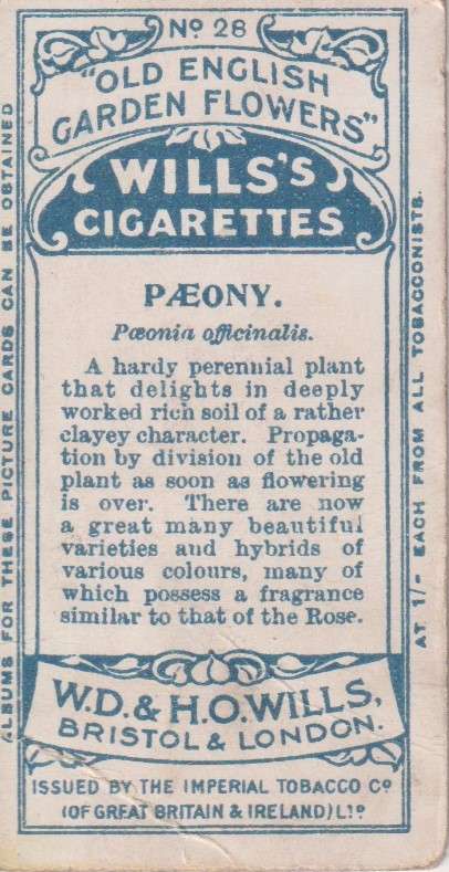Cigarette Card Old English Garden Flower No. 28