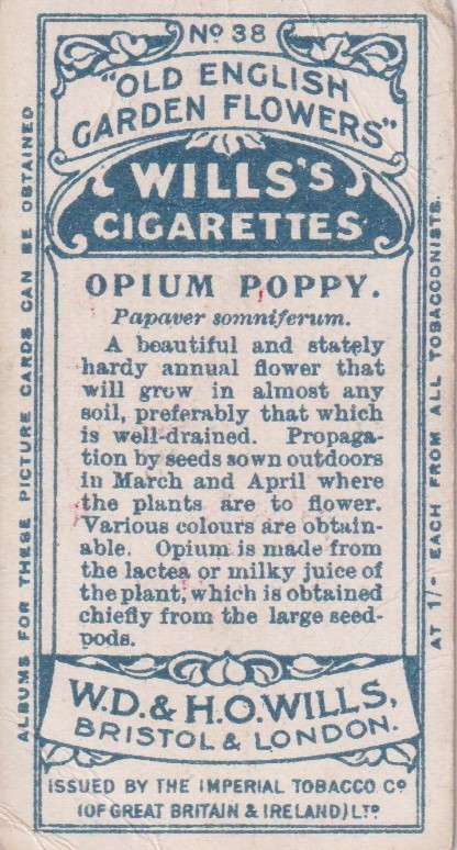 Cigarette Card Old English Garden Flower No. 38