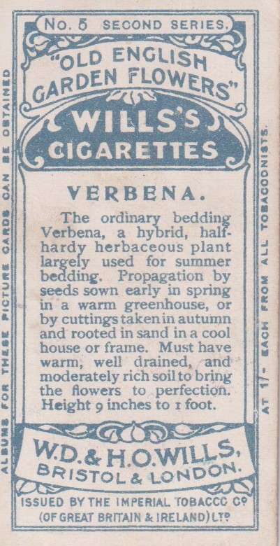 Cigarette Card Old English Garden Flower No. 5