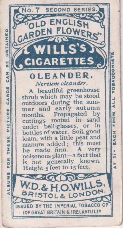 Cigarette Card Old English Garden Flower No. 7