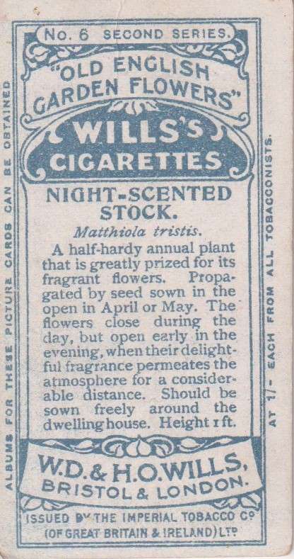 Cigarette Card Old English Garden Flower No. 6